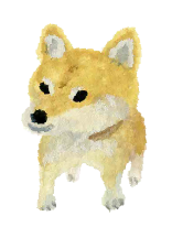 病院案内