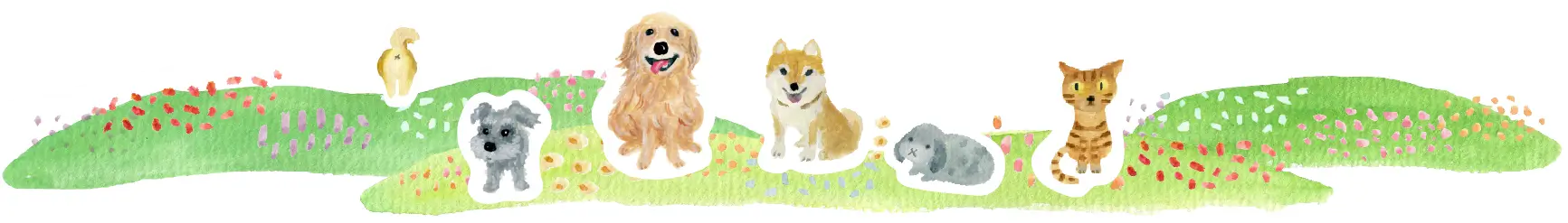 ごあいさつ