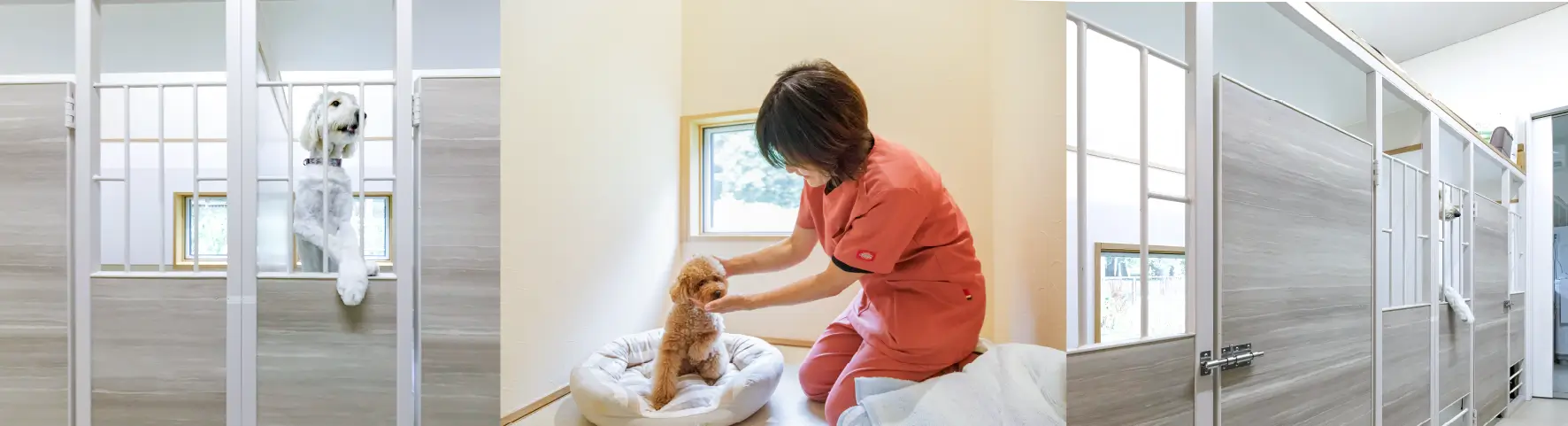 お仕事や旅行で留守にされるとき、ペットをお預かりします。